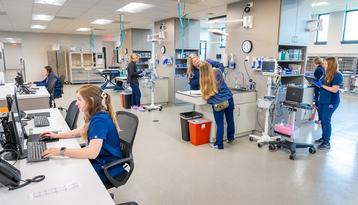 Vets_Pets_Points_East-6101 Veterinary Surgical and Specialty Referrals