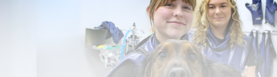 Veterinary Referral