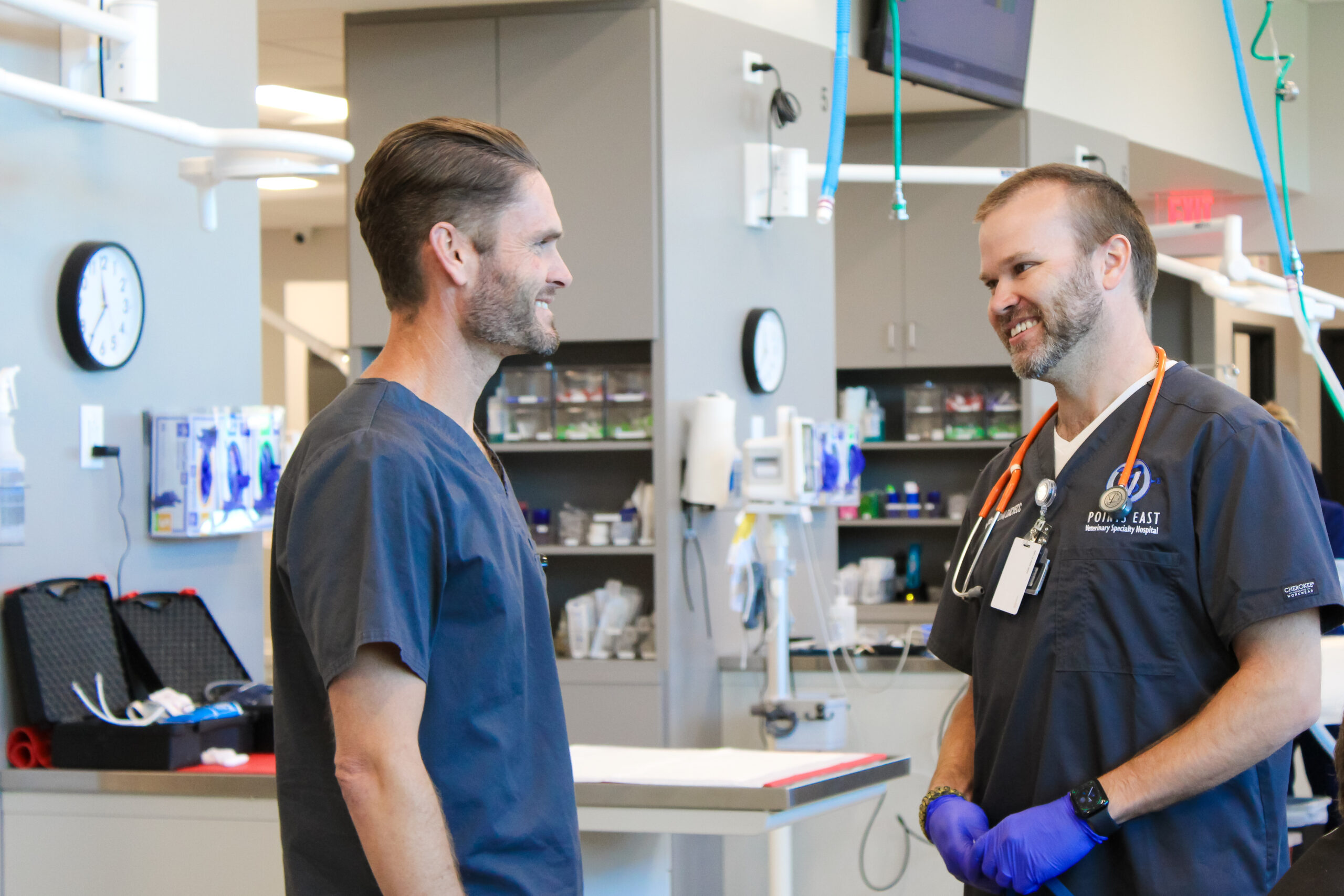 Veterinary Surgical and Specialty Referrals