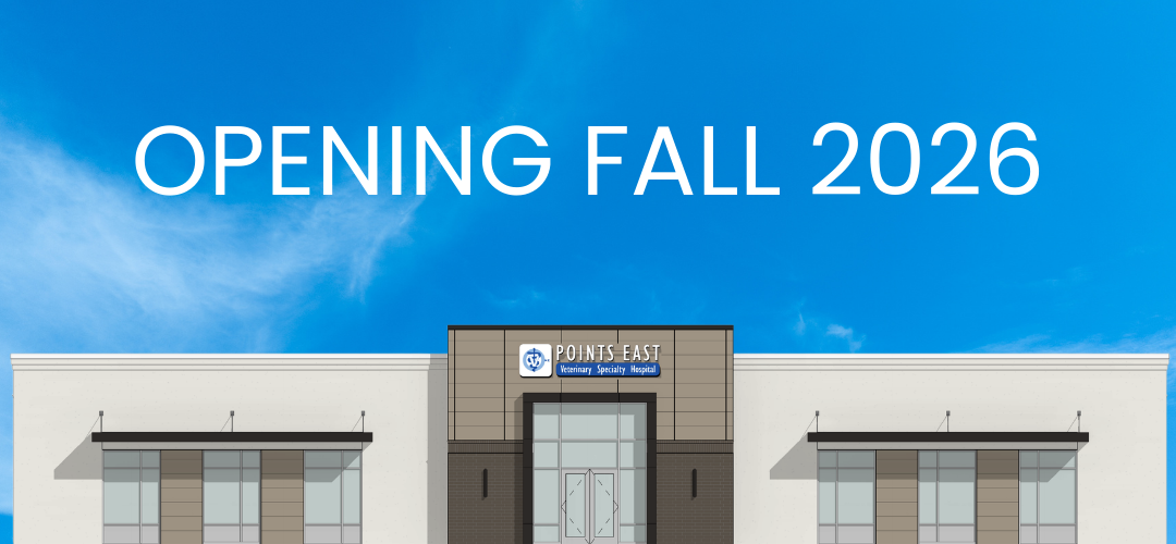 PEVSH-ILM OF2026 Veterinary Diagnostic Imaging