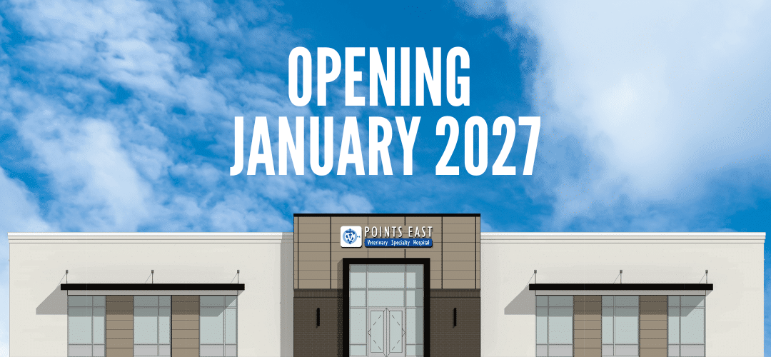 Veterinary Diagnostic Imaging